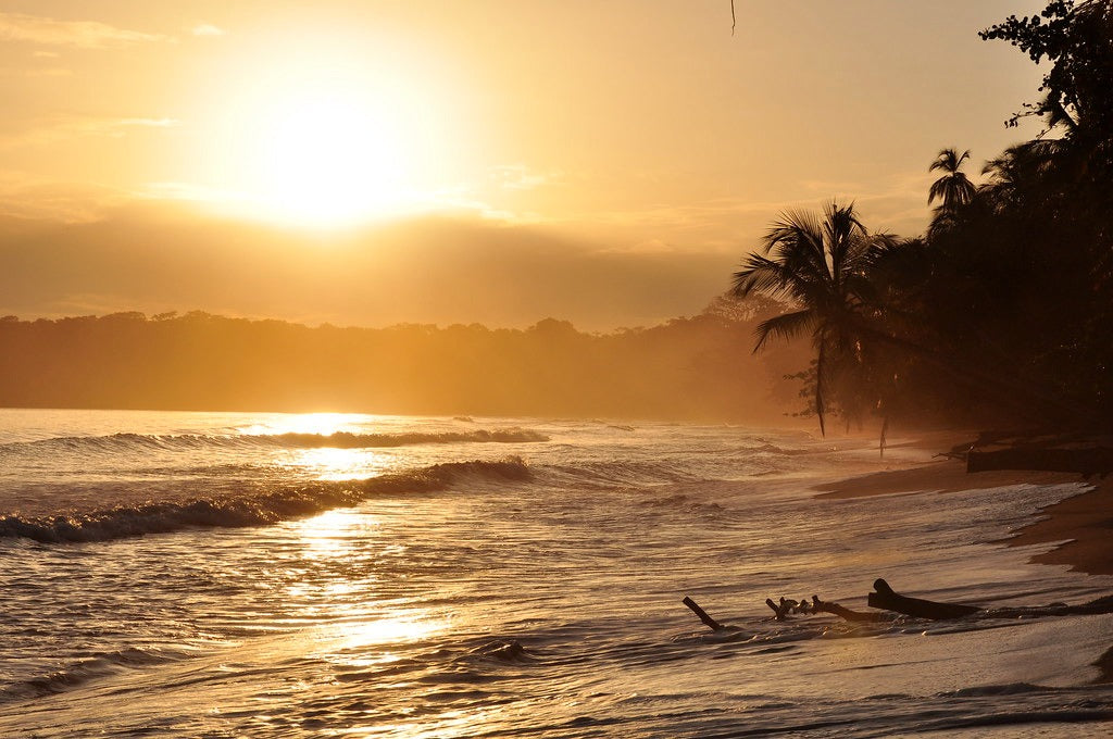 Exploring the Legacy of Danish Slave Ships in Costa Rica