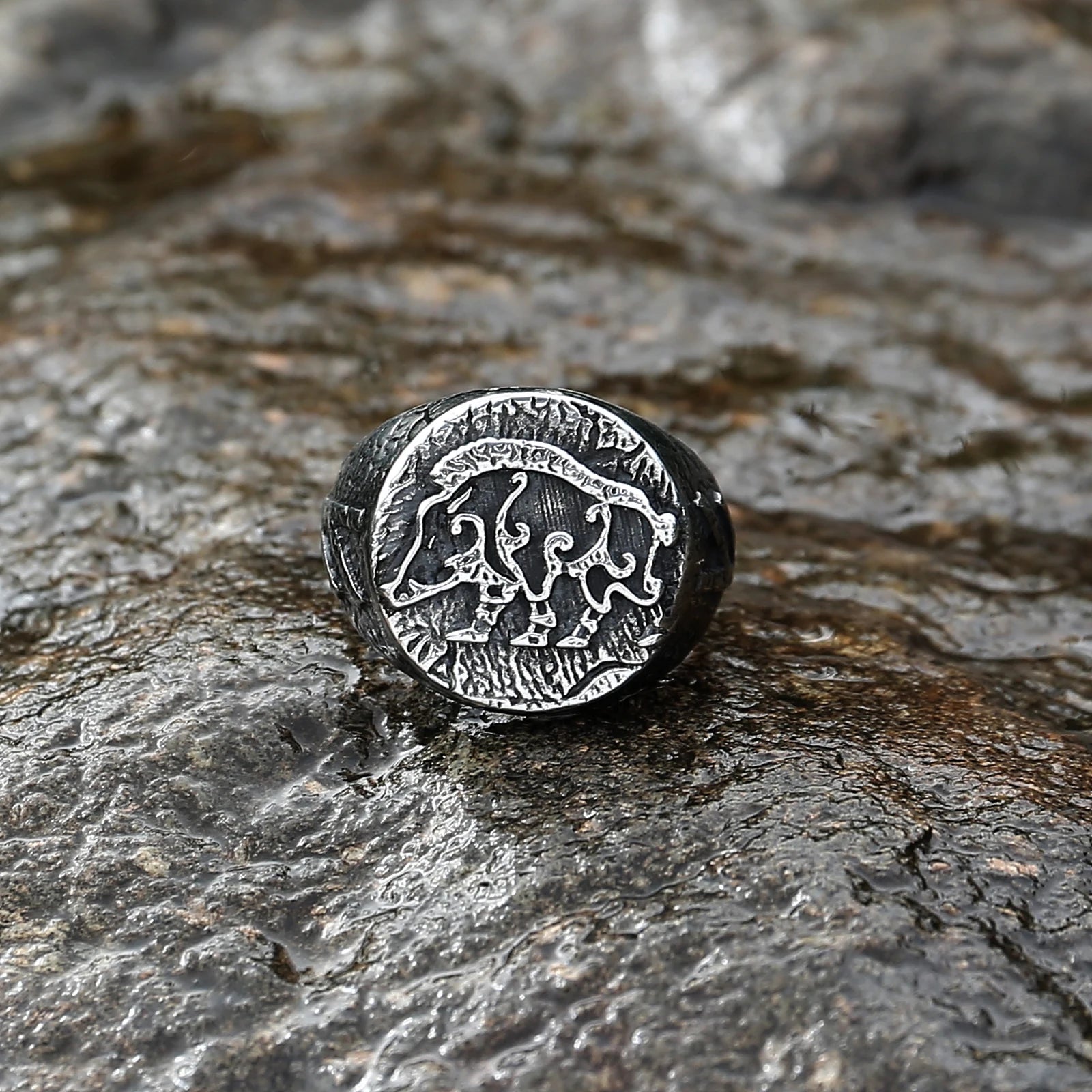 Silver Hildisvíni Ring with Fehu rune engraving